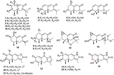 Eremophilane-Type Sesquiterpenoids From the Endophytic Fungus Rhizopycnis vagum and Their Antibacterial, Cytotoxic, and Phytotoxic Activities